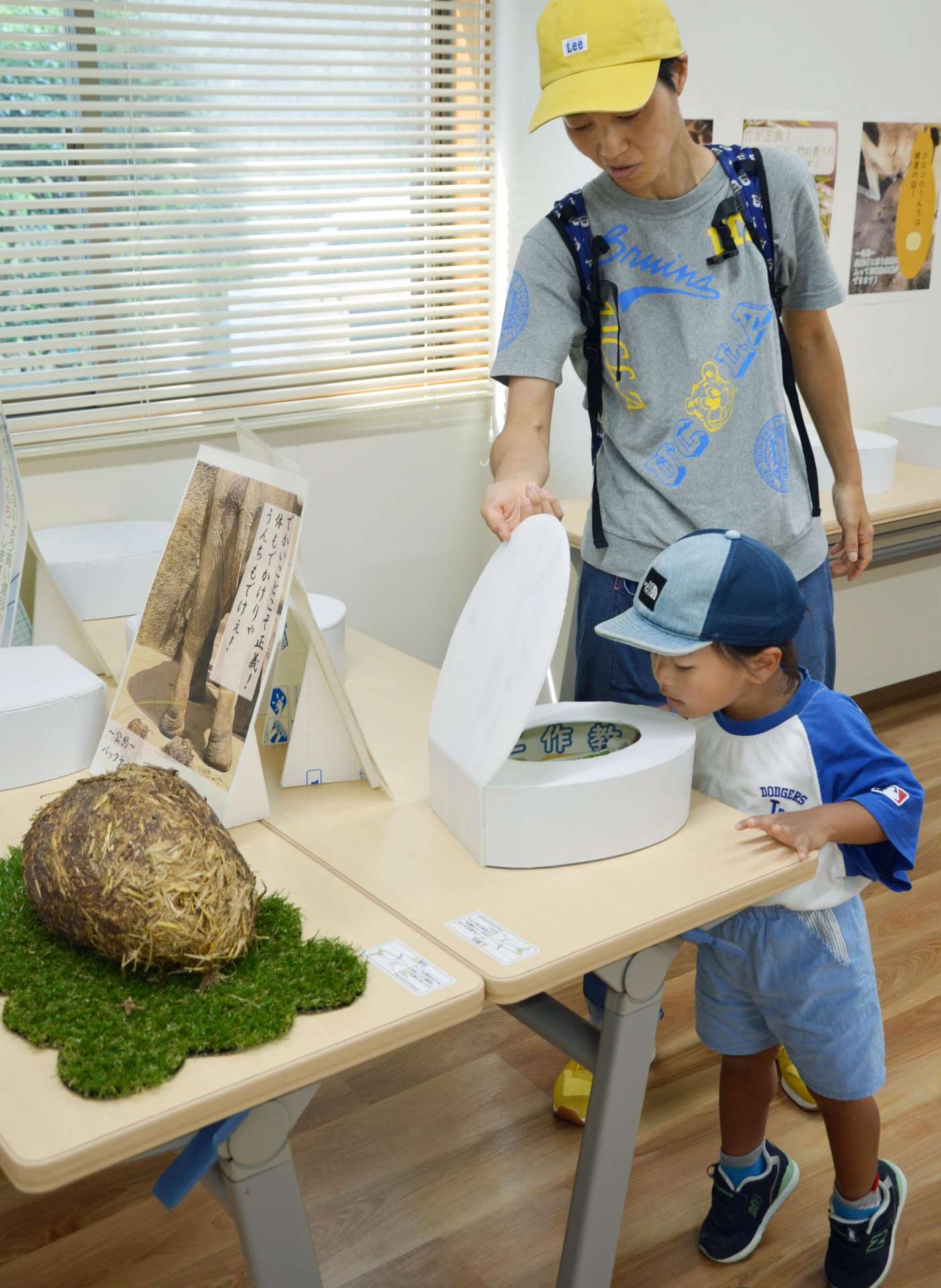 展示されたうんちをのぞく来園者＝鹿児島市の平川動物公園