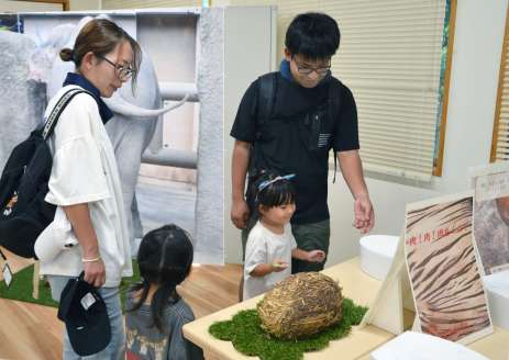 大きさに驚く来園者＝鹿児島市の平川動物公園