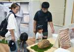 大きさに驚く来園者＝鹿児島市の平川動物公園