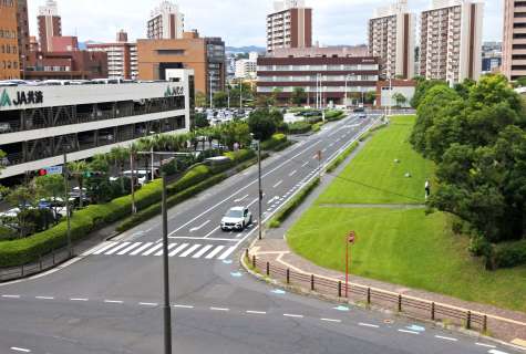 〈やっぱり現状のままにします…〉緑地部分まで拡幅する計画の廃止方針が決まった県庁横の道路＝鹿児島市鴨池新町