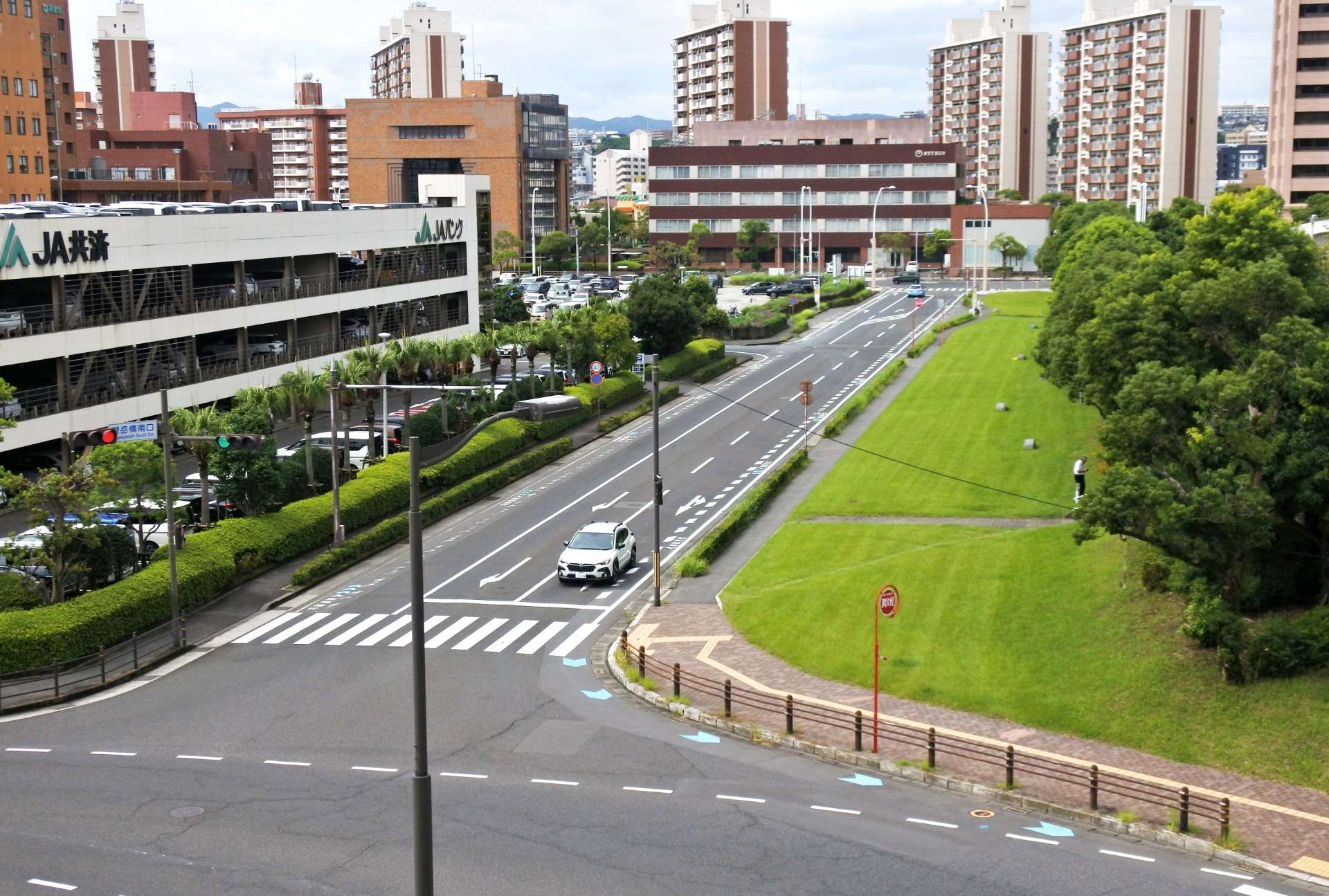 〈やっぱり現状のままにします…〉緑地部分まで拡幅する計画の廃止方針が決まった県庁横の道路＝鹿児島市鴨池新町