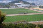 〈関連〉３面のグラウンドが広がる鹿児島県立サッカー・ラグビー場＝２０１４年１月、鹿児島市中山