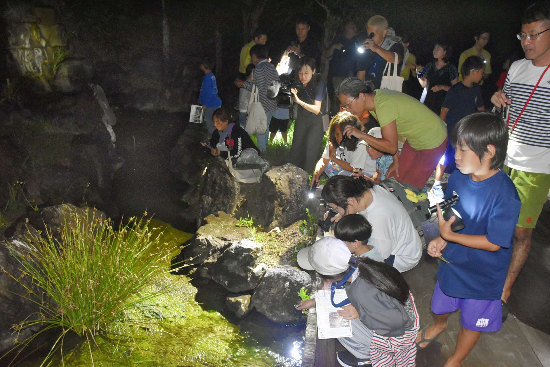 屋外でカエルの鳴き声などを確認する参加者＝大和村