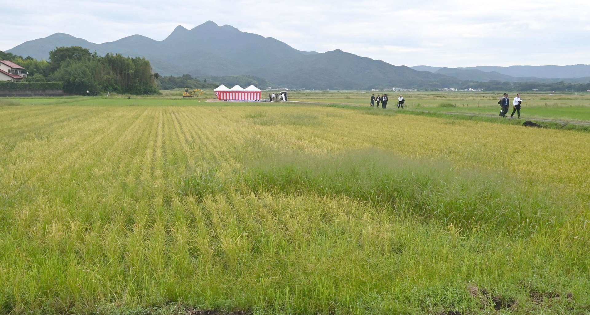スマート農業基盤整備モデル事業が実施される予定地周辺＝３０日、南さつま市金峰町池辺