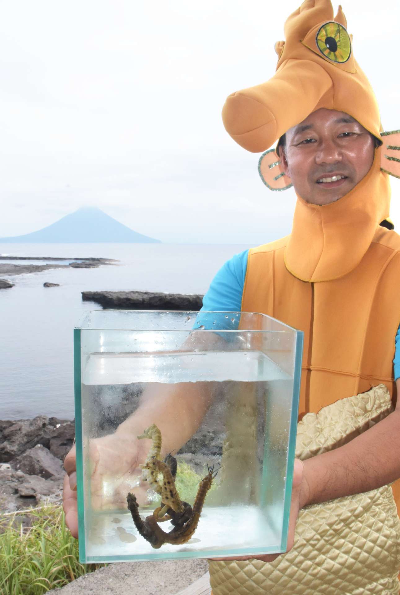 〈関連＝かぶりものが似合い過ぎる？〉タツノオトシゴハウスの１５周年と入館者５０万人突破を喜ぶ加藤紳館長＝１日、南九州市頴娃町別府