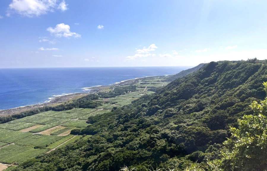 日本ジオパークに認定された喜界島＝６日、喜界町嘉鈍