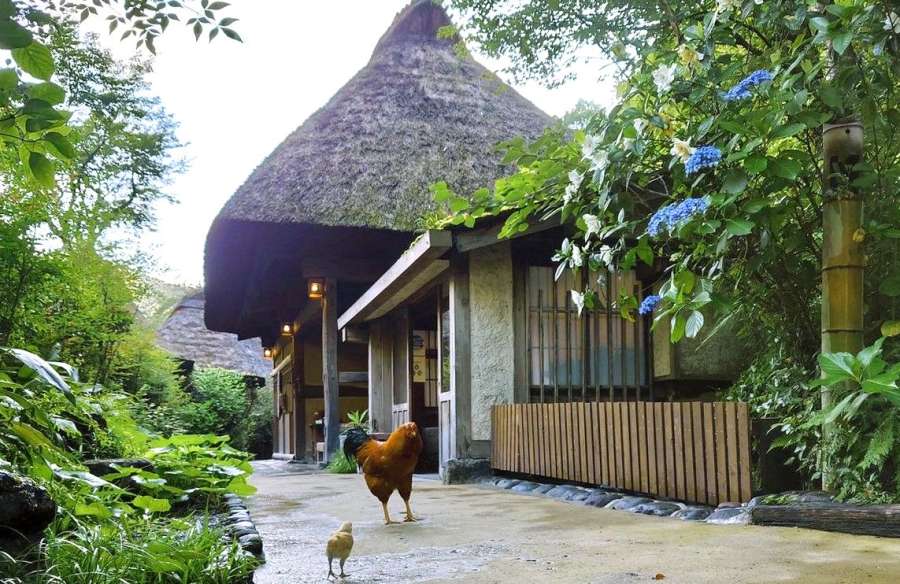 鹿児島県内初の２ミシュランキーとなった「忘れの里　雅叙苑」（同社提供）