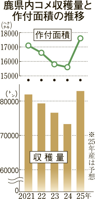 （図表）鹿県内コメ収穫量と作付面積の推移
