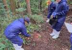 〈参考資料〉豚熱経口ワクチンを散布する関係者＝９月１２日、霧島市（鹿児島県提供）