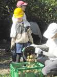子どもたちが収穫したツバキの実＝鹿児島市高免町