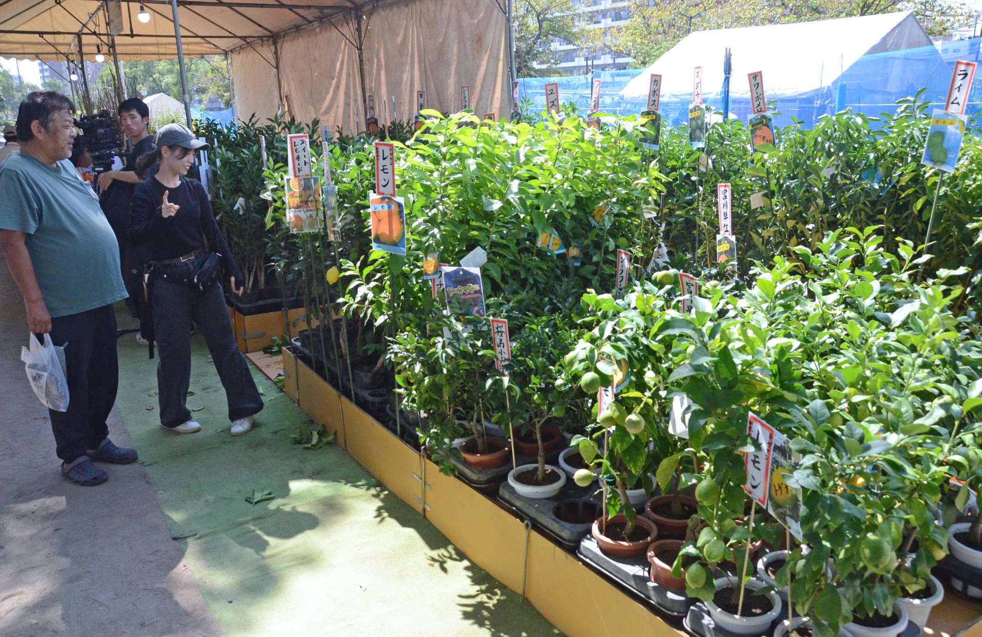 出店者と話しながら苗木を品定めする来場者＝１５日、鹿児島市西千石町の甲突川左岸緑地帯