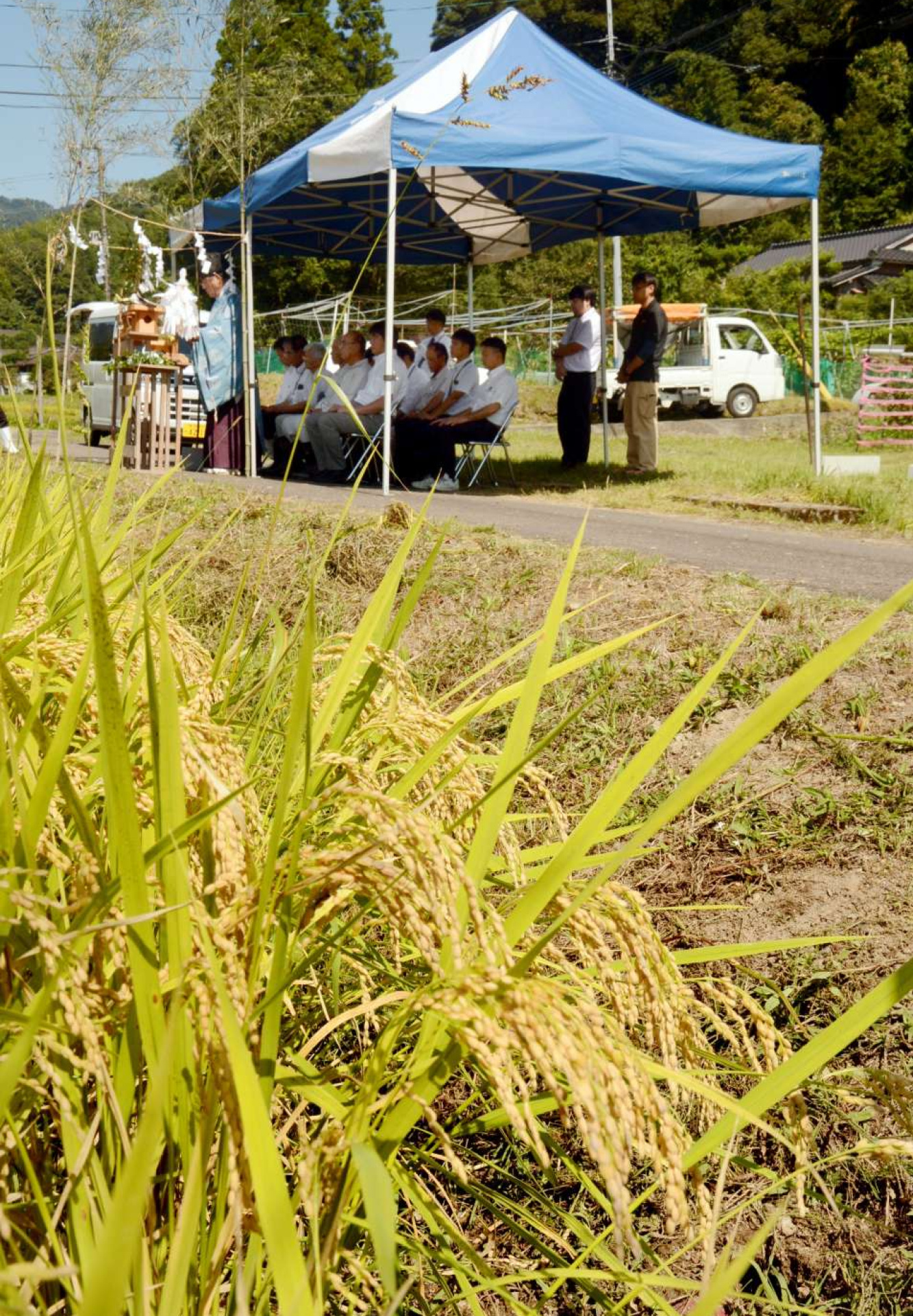 新嘗祭に献上される「あきの舞」＝さつま町柊野