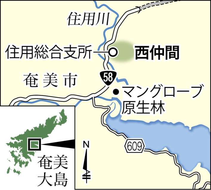 奄美市住用町西仲間や住用川の位置が一目で分かる地図