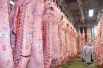 冷蔵庫に並ぶ出品牛の枝肉＝２２日、曽於市末吉のナンチク