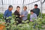 有機農業を視察する寛仁親王妃信子さま＝２２日、姶良市の今村農園