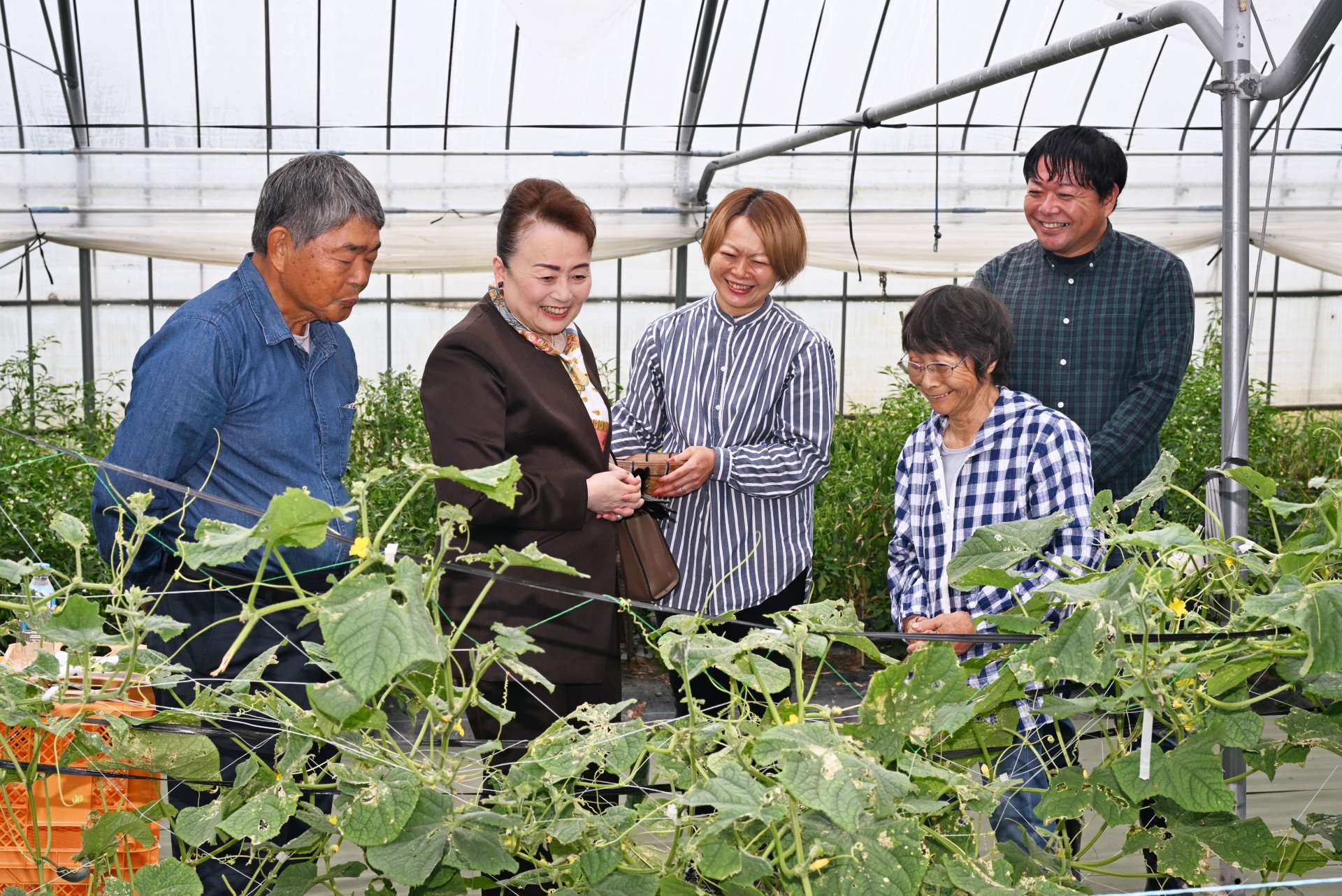 有機農業を視察する寛仁親王妃信子さま＝２２日、姶良市の今村農園