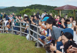 Ｈ３ロケット７号機の打ち上げを見守る見学客＝２６日、南種子町の恵美之江展望公園