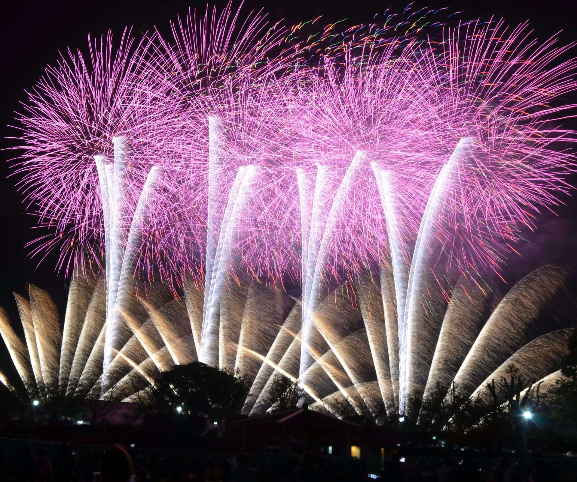 大曲の花火師によって打ち上げられる花火＝都城市高城町石山の観音池公園