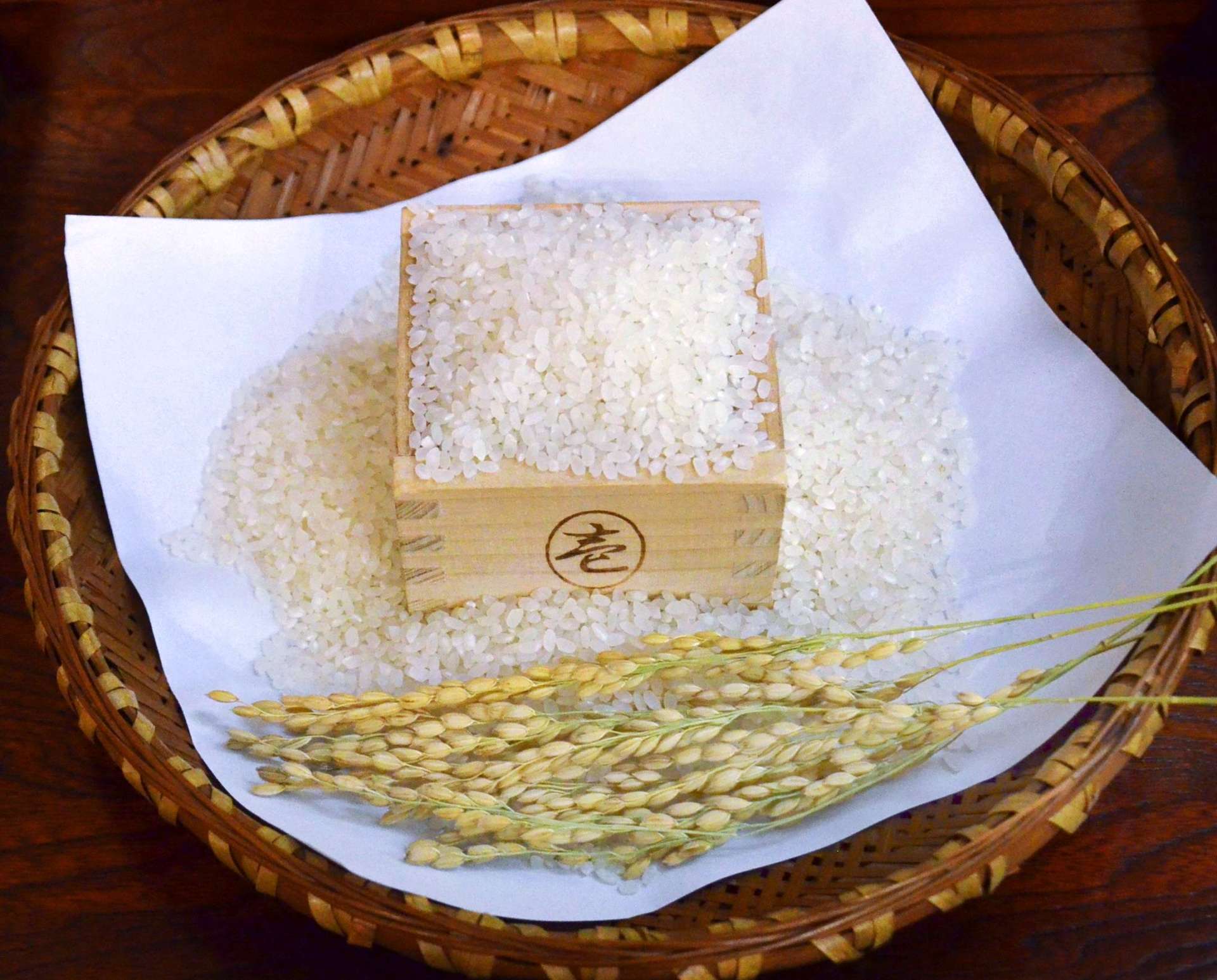 今年から本格栽培が始まった「あきの舞」＝２９日、県庁