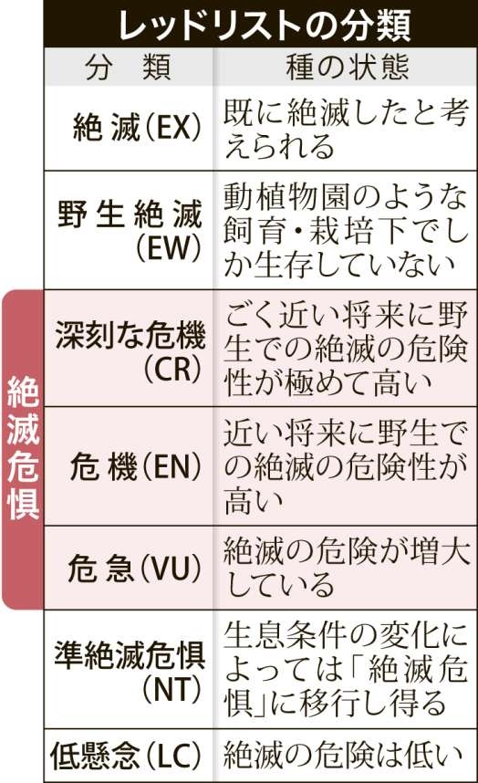 レッドリストの分類を示す表