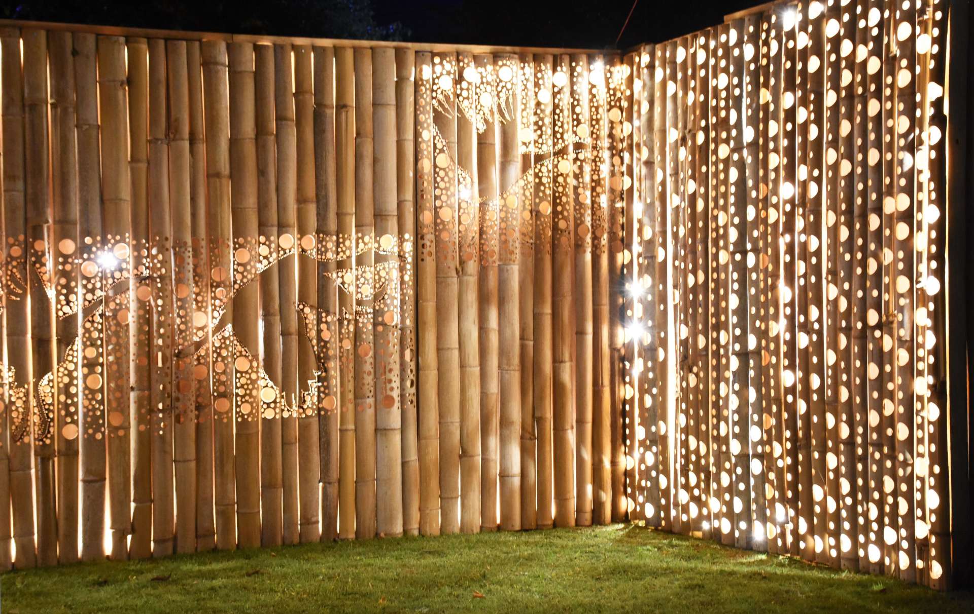 〈関連〉ツルなどをイメージした竹灯籠。きらびやかながらも、柔らかに照らす＝出水市麓町