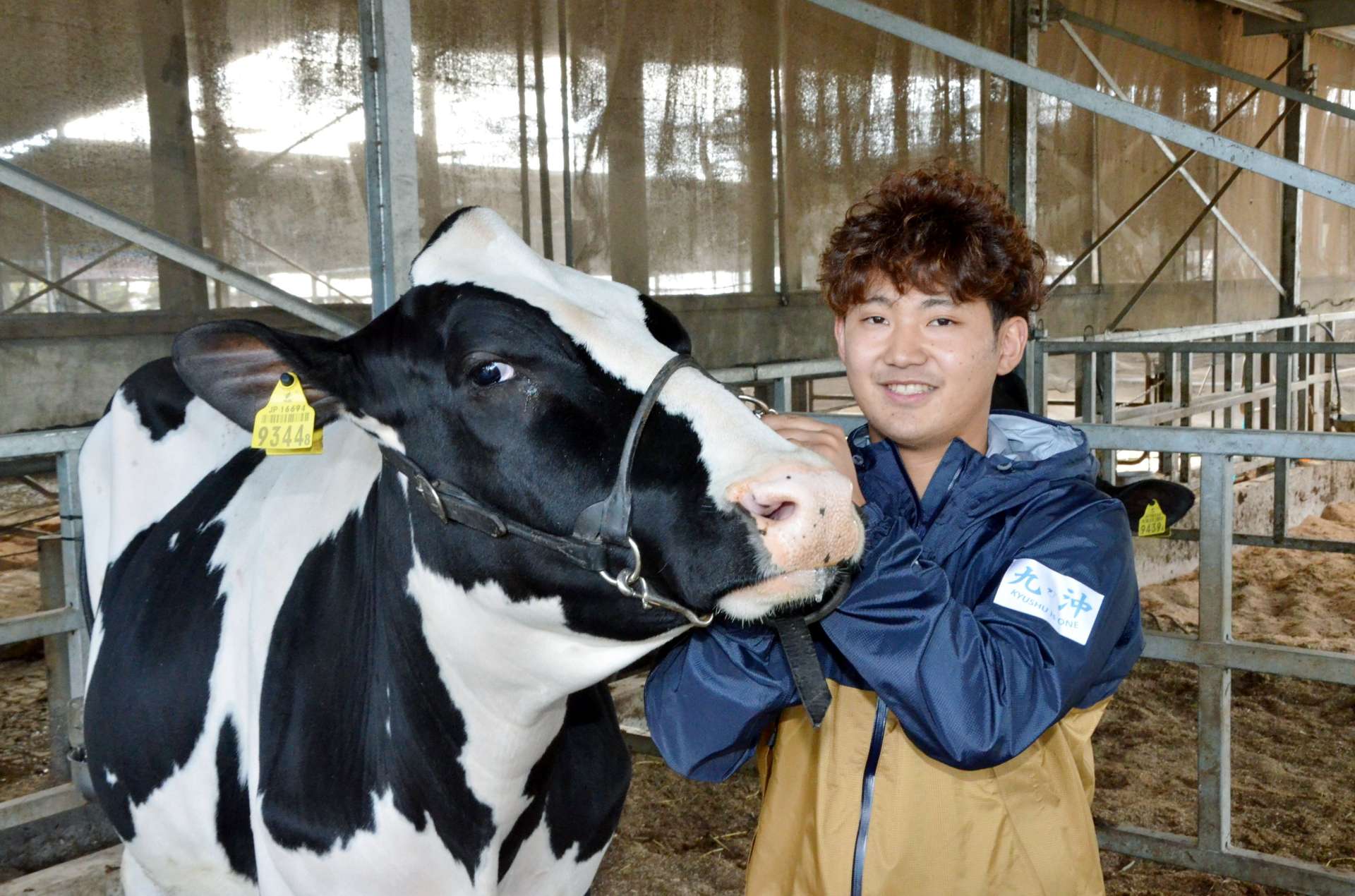 全日本ホルスタイン共進会で優等賞に選ばれたＭｉｌｋｉｓｈ　Ｆａｒｍの出品牛＝７日、南九州市の同ファーム