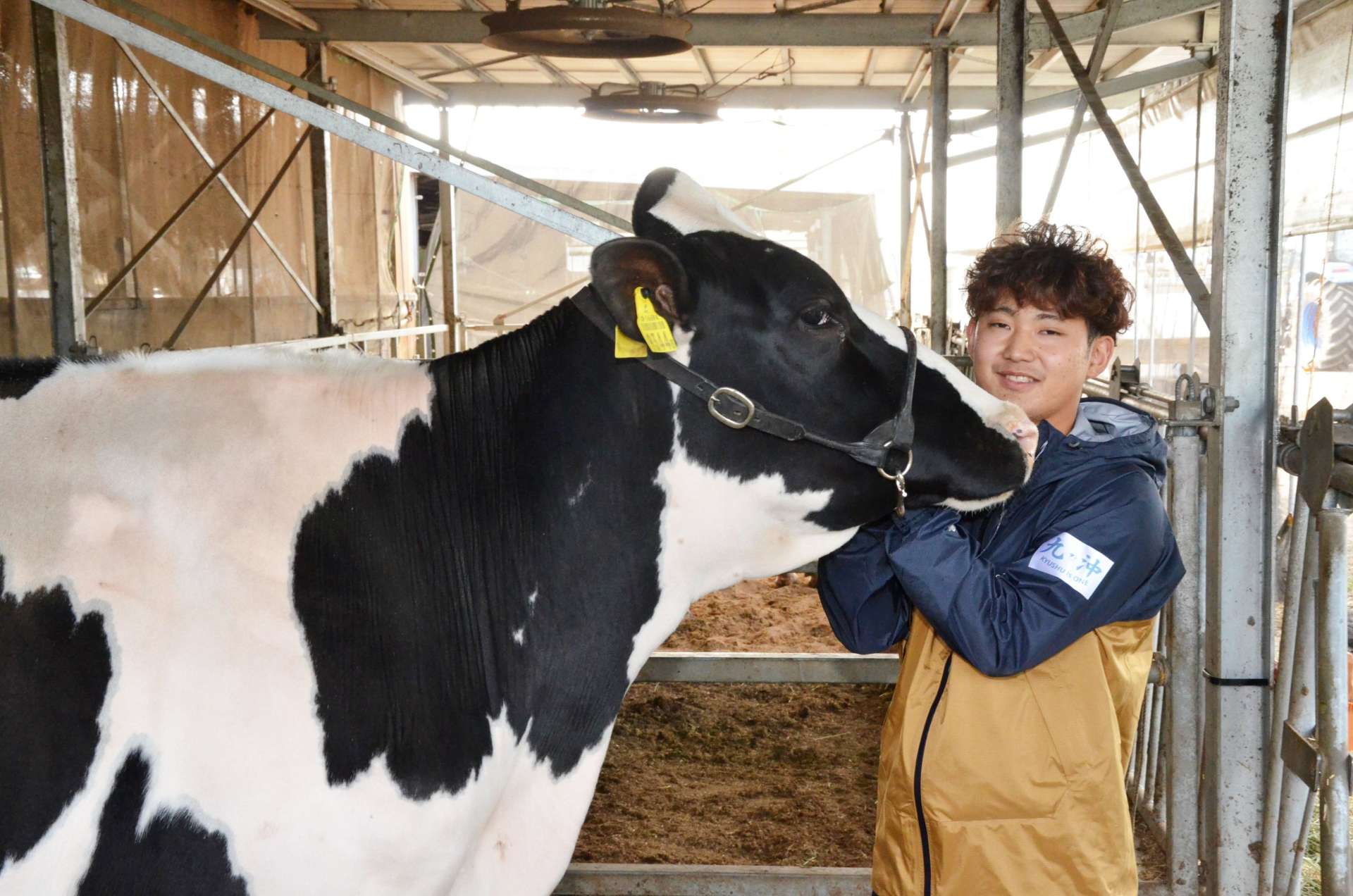 全日本ホルスタイン共進会で優等賞に選ばれたＭｉｌｋｉｓｈ　Ｆａｒｍの出品牛＝７日、南九州市の同ファーム