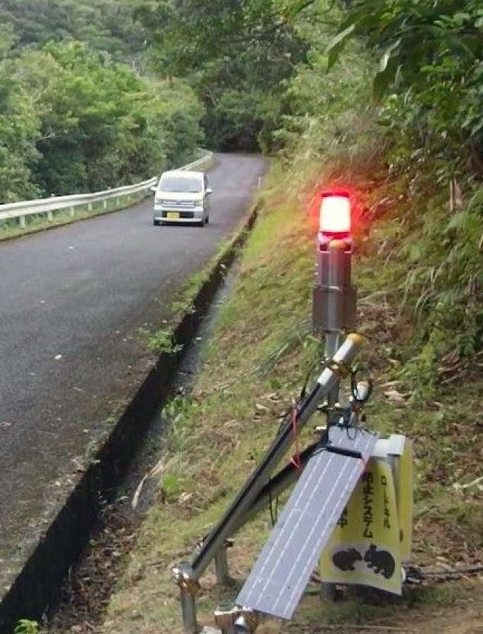 時速４０キロ以上を検知し、赤く点灯する装置＝徳之島町轟木（太平電機提供）