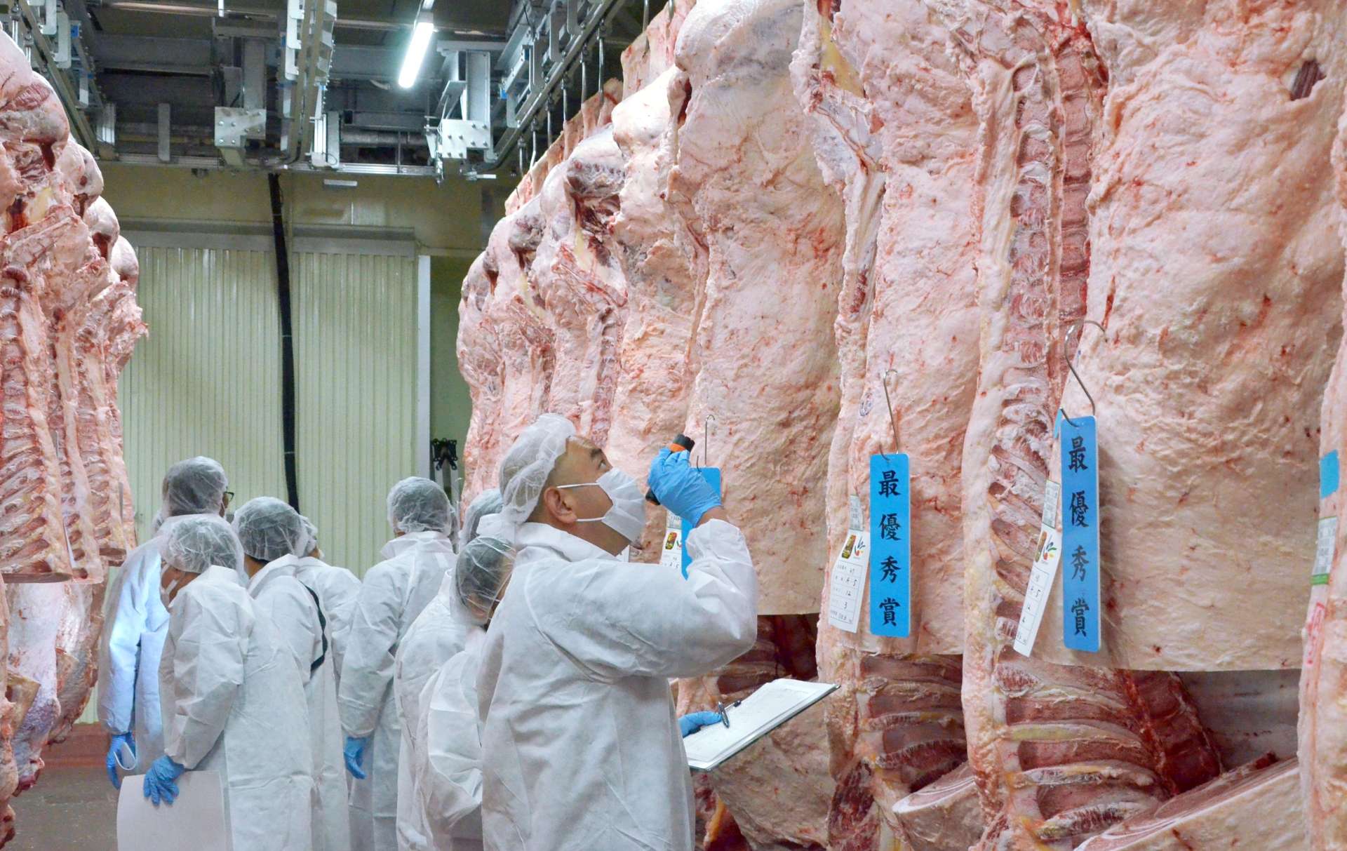 県肉牛枝肉共進会に出品された枝肉をチェックっする生産者ら＝南九州市のＪＡ食肉かごしま南薩工場