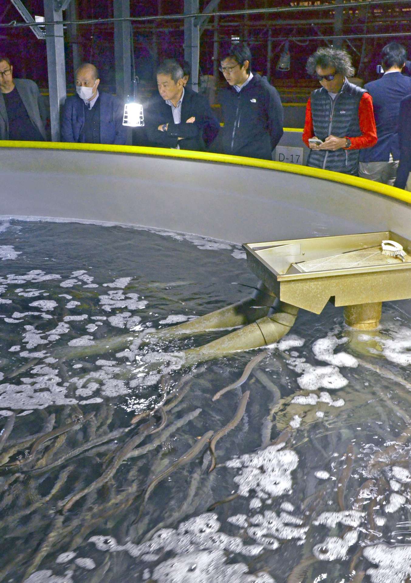 ウナギの養殖タンクを見学するバイヤーら＝１０日、鹿屋市の西日本養鰻