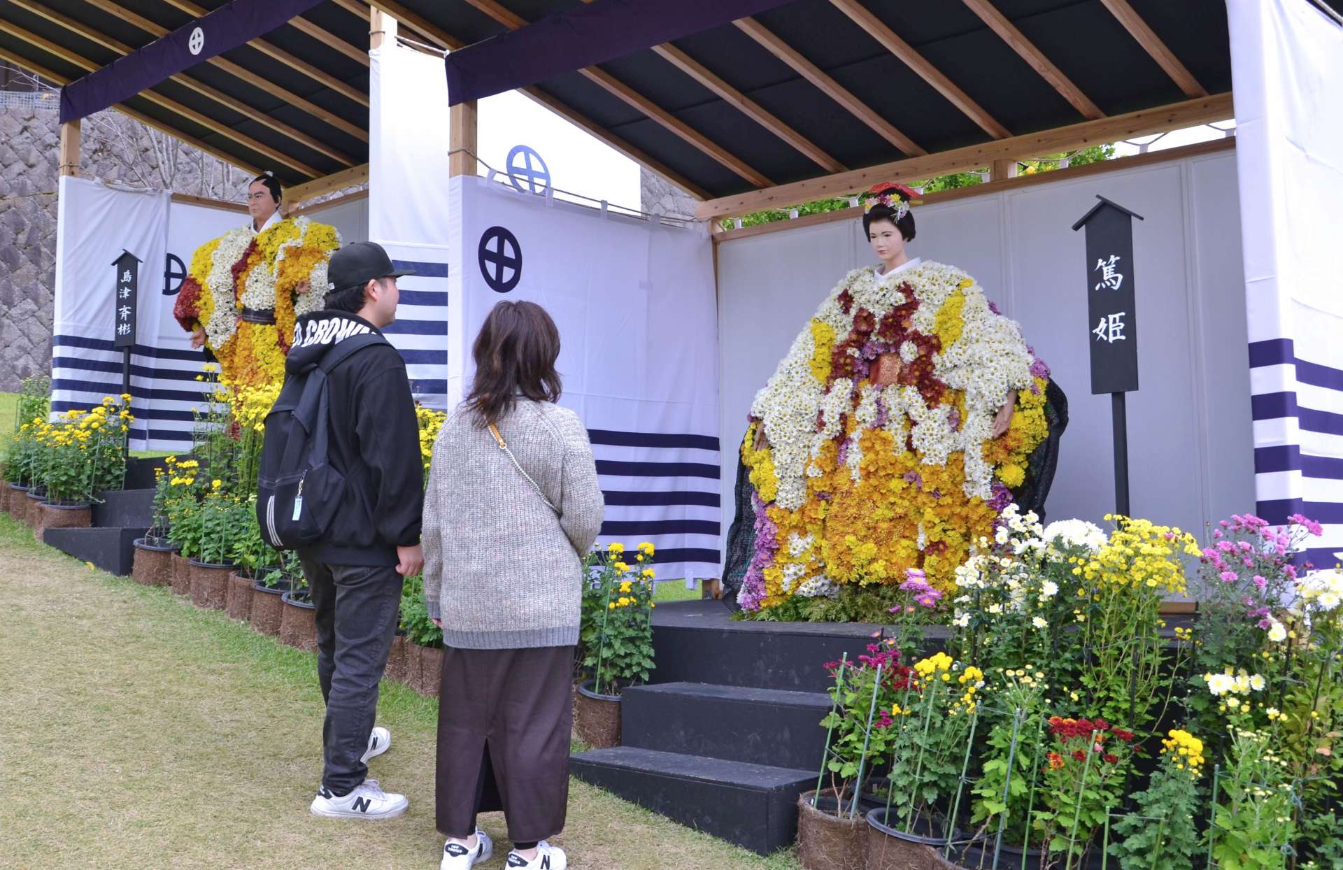 〈関連＝菊で彩られた篤姫だ〉色とりどりのキクで飾られた菊人形＝１２日、鹿児島市の仙巌園
