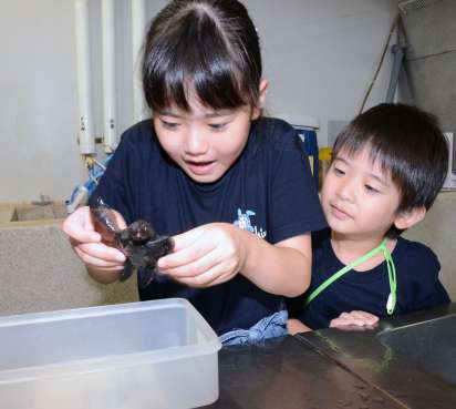 〈関連〉「世界が壊れるくらいかわいい」。ウミガメと触れ合う梅本真友美さん（左）と弟の一輝ちゃん＝鹿児島市本港新町のかごしま水族館