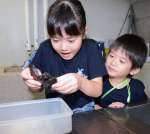 〈関連〉「世界が壊れるくらいかわいい」。ウミガメと触れ合う梅本真友美さん（左）と弟の一輝ちゃん＝鹿児島市本港新町のかごしま水族館