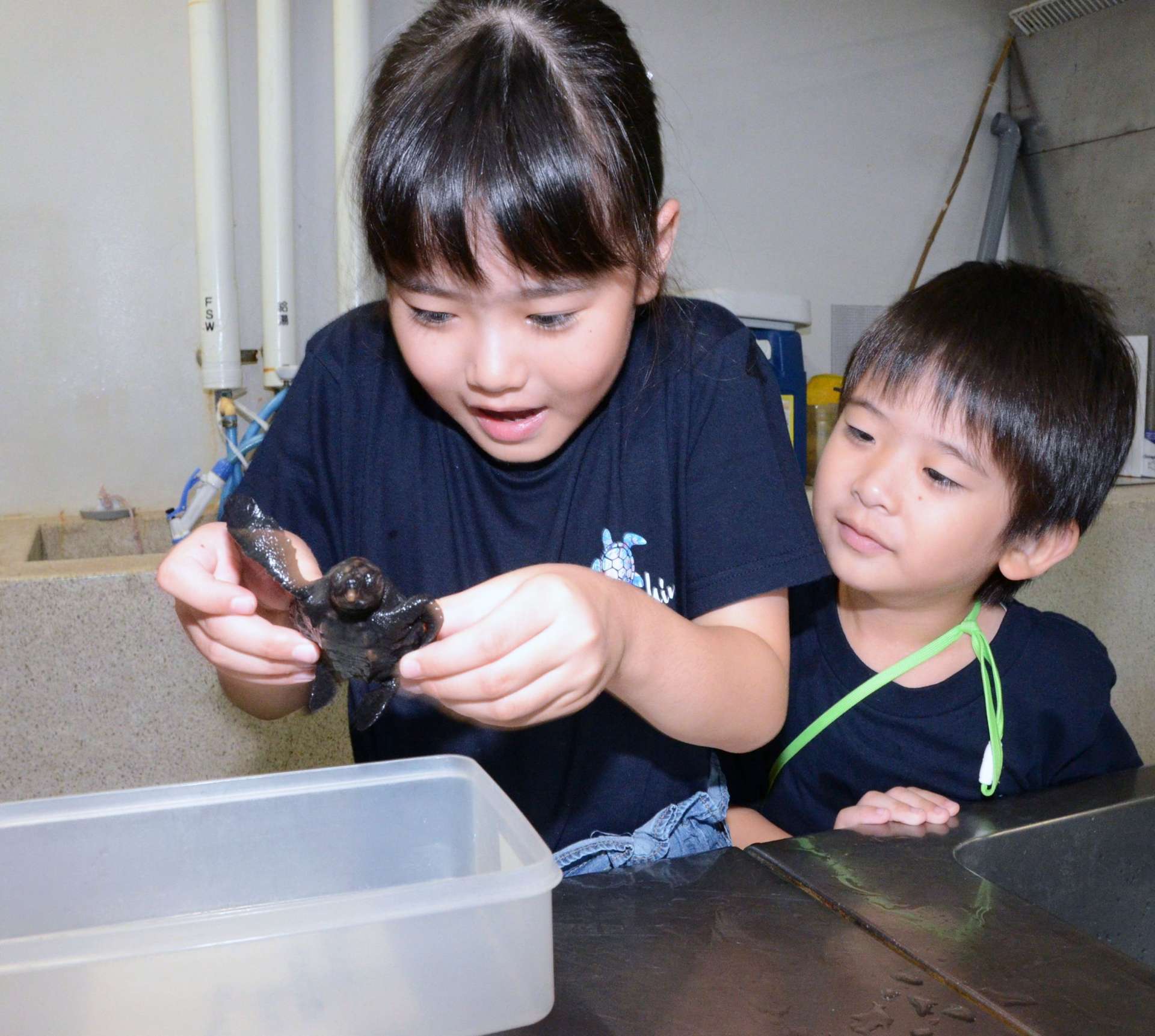 〈関連〉「世界が壊れるくらいかわいい」。ウミガメと触れ合う梅本真友美さん（左）と弟の一輝ちゃん＝鹿児島市本港新町のかごしま水族館