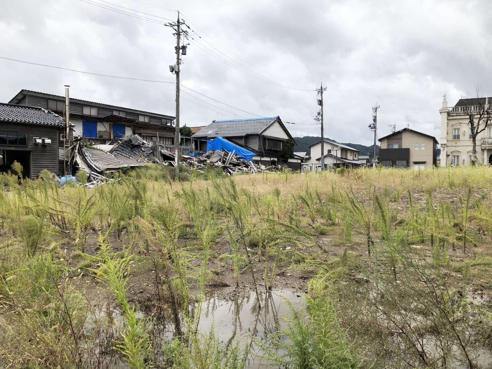 〈関連〉さら地になった朝市通り一帯。近隣には解体が進まない家屋が残る