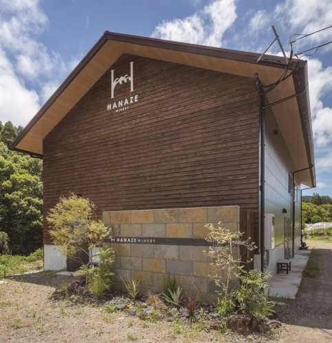 クラシックブドウ浜田農園