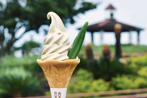 道の駅いぶすき彩花菜館