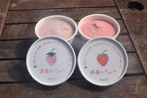 農Lifeいちごの村
