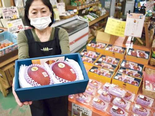 安田農園ふれあい市場
