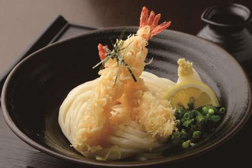 讃岐うどん 松家