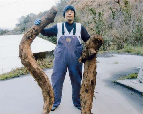 天野屋