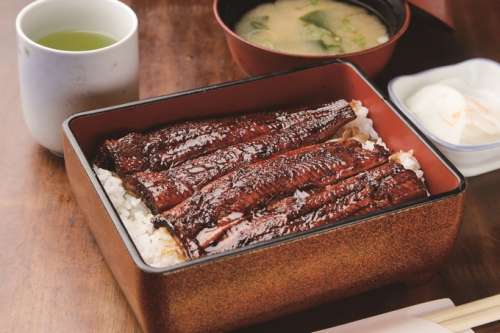 お食事処 なぎさ荘