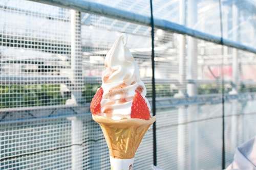 片平観光農園
