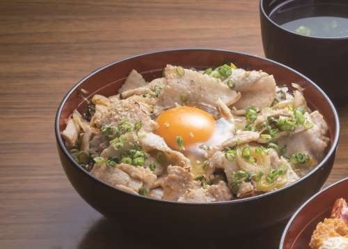 和食の広活