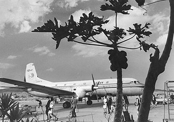 昭和４３年１１月２７日、飛行機から新婚客や団体客らが続々降りたつ奄美空港。紙面によると「奄美の観光ブームが高まりを見せており、正月のホテルは早くも満杯。１日３往復するＹＳ１１機も新婚さんや団体客で連日満席の盛況ぶりだ。関東・関西などからの予約が名瀬や徳之島などのホテル、旅館に殺到している」と報じている。