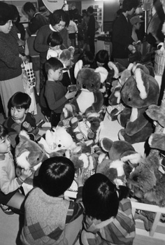 昭和５９年３月、平川動物公園にコアラがやってくると決まり、鹿児島市内のデパート・オモチャ屋では“あやかり商戦”一色に。当時の紙面によると「先べんをつけたのは市内のデパートで、店内にぬいぐるみなどを集めた『コアラランド』を設置。ほかのデパートや市内のオモチャ屋の店頭でもコアラのぬいぐるみが並び、一足早くファンをとりこにしている。ぬいぐるみのほか、ブームを見込んだ新商品も。ダッコちゃん風のクリップ式コアラやワッペン、バッジなどファッションとしても定着を狙う。また、店名をそのものずばり『コアラ』とする喫茶店なども登場しフィーバーぶりはまだ過熱しそう」と報じている。