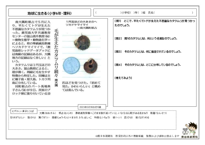 ディターラムスの本　パンフレット　新聞切り抜き　ワークシート デジタル大阪ミュージアムズを学校の授業で活用いただきました