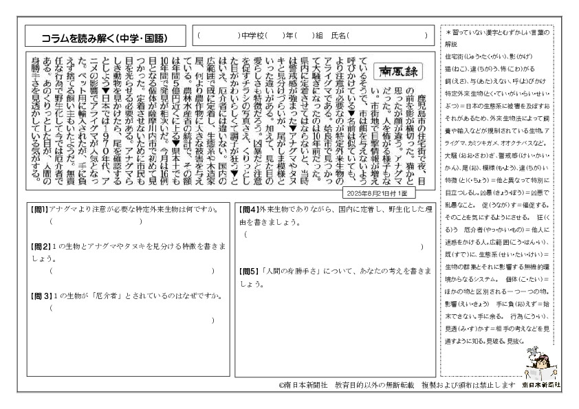 ディターラムスの本 パンフレット 新聞切り抜き ワークシート